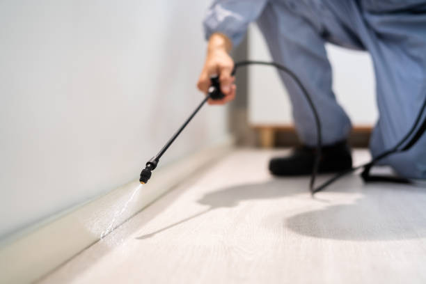 Licensed Pest Control service in Centerville, MN - Show Me Pest Control